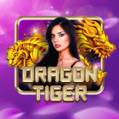 Dragon Tiger Super Ace Casino live